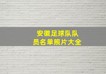 安徽足球队队员名单照片大全