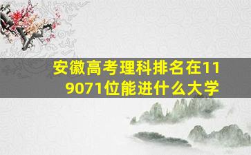 安徽高考理科排名在119071位能进什么大学