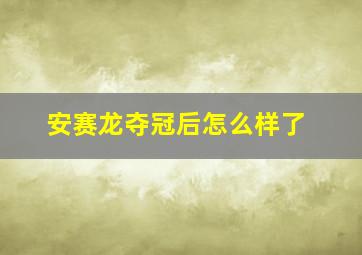 安赛龙夺冠后怎么样了