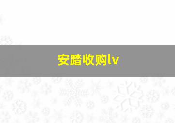 安踏收购lv