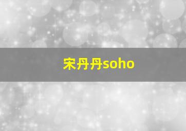 宋丹丹soho