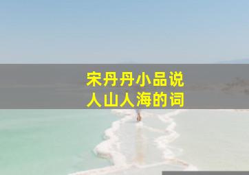 宋丹丹小品说人山人海的词