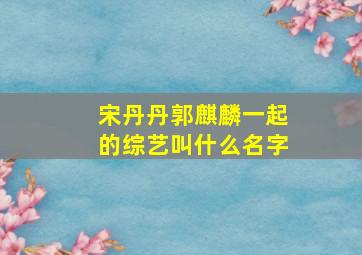 宋丹丹郭麒麟一起的综艺叫什么名字