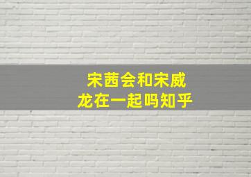 宋茜会和宋威龙在一起吗知乎