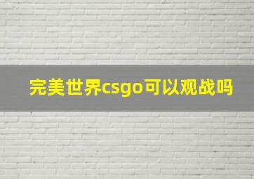 完美世界csgo可以观战吗