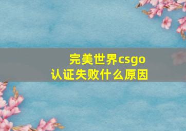 完美世界csgo认证失败什么原因