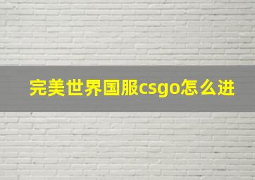 完美世界国服csgo怎么进