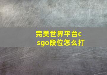 完美世界平台csgo段位怎么打