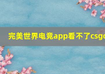 完美世界电竞app看不了csgo