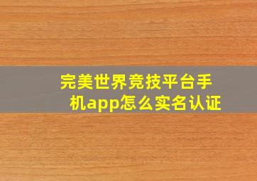 完美世界竞技平台手机app怎么实名认证