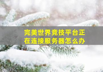 完美世界竞技平台正在连接服务器怎么办