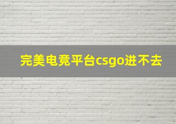 完美电竞平台csgo进不去