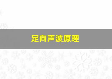 定向声波原理