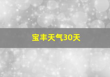 宝丰天气30天