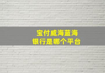 宝付威海蓝海银行是哪个平台