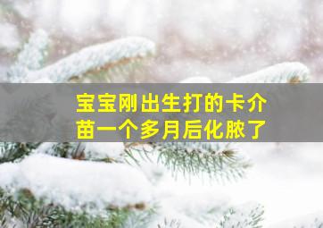 宝宝刚出生打的卡介苗一个多月后化脓了