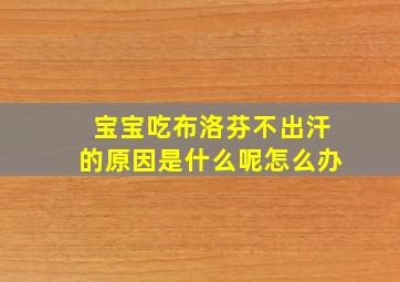 宝宝吃布洛芬不出汗的原因是什么呢怎么办