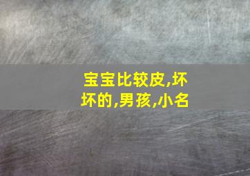 宝宝比较皮,坏坏的,男孩,小名