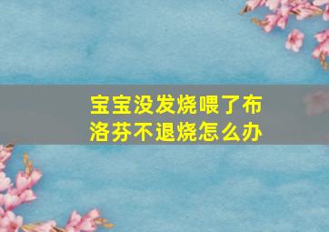 宝宝没发烧喂了布洛芬不退烧怎么办