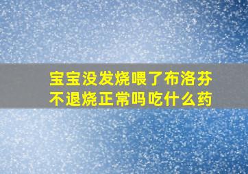 宝宝没发烧喂了布洛芬不退烧正常吗吃什么药