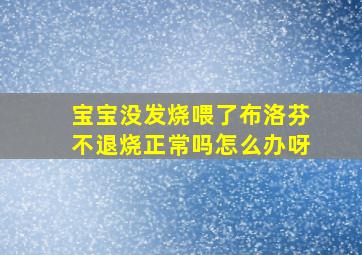 宝宝没发烧喂了布洛芬不退烧正常吗怎么办呀