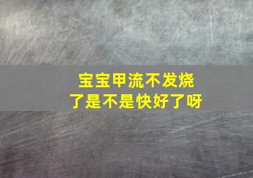 宝宝甲流不发烧了是不是快好了呀