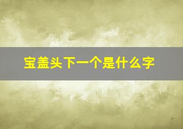 宝盖头下一个是什么字