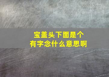 宝盖头下面是个有字念什么意思啊