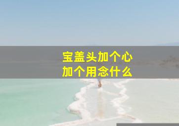 宝盖头加个心加个用念什么