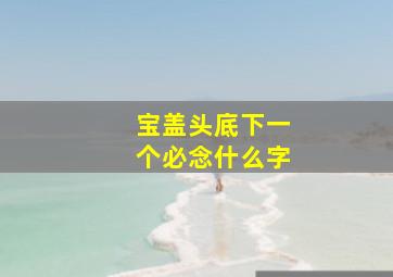 宝盖头底下一个必念什么字