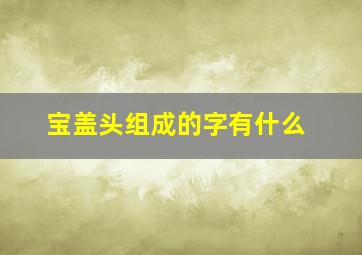 宝盖头组成的字有什么