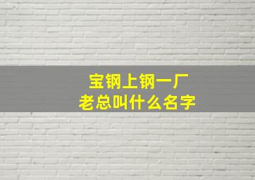 宝钢上钢一厂老总叫什么名字