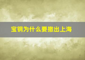 宝钢为什么要撤出上海