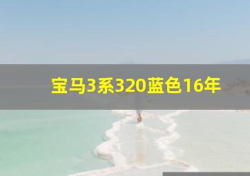 宝马3系320蓝色16年