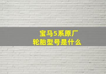 宝马5系原厂轮胎型号是什么