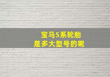 宝马5系轮胎是多大型号的呢