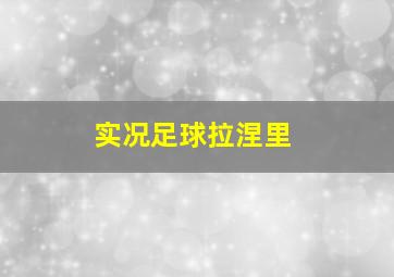 实况足球拉涅里