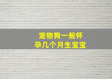 宠物狗一般怀孕几个月生宝宝