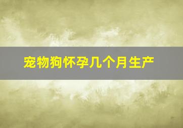 宠物狗怀孕几个月生产