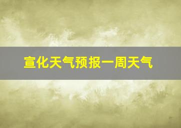 宣化天气预报一周天气