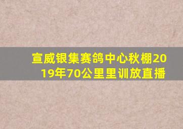 宣威银集赛鸽中心秋棚2019年70公里里训放直播