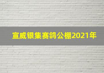 宣威银集赛鸽公棚2021年