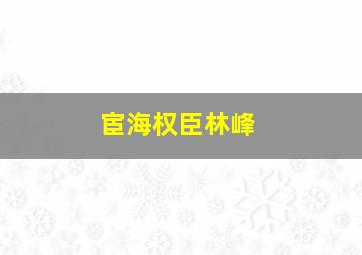 宦海权臣林峰