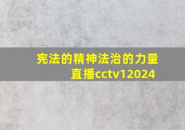 宪法的精神法治的力量直播cctv12024