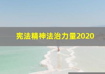 宪法精神法治力量2020