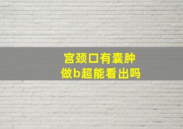 宫颈口有囊肿做b超能看出吗