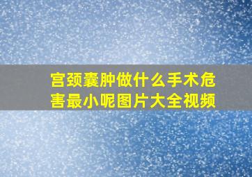 宫颈囊肿做什么手术危害最小呢图片大全视频