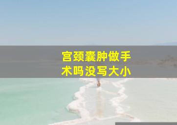 宫颈囊肿做手术吗没写大小