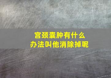 宫颈囊肿有什么办法叫他消除掉呢