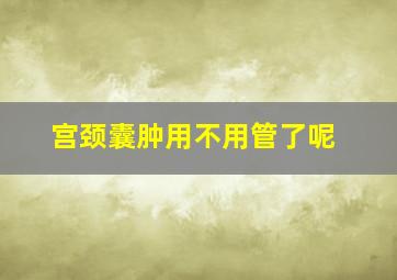 宫颈囊肿用不用管了呢